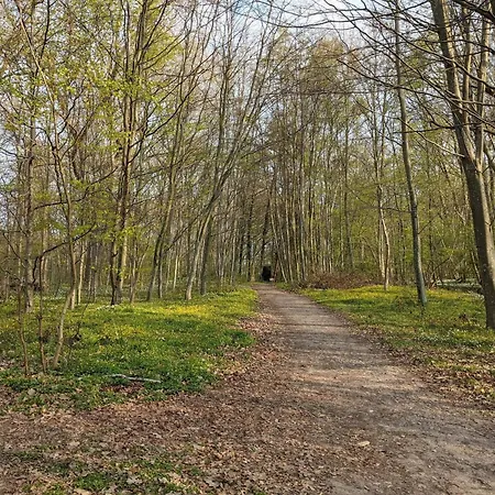 Seaside Retreat With - By Traum Casa vacanze