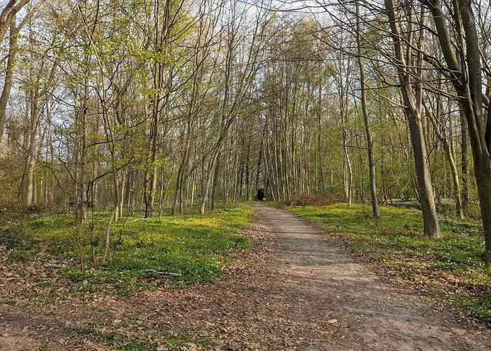 Seaside Retreat With - By Traum Tatil Evi